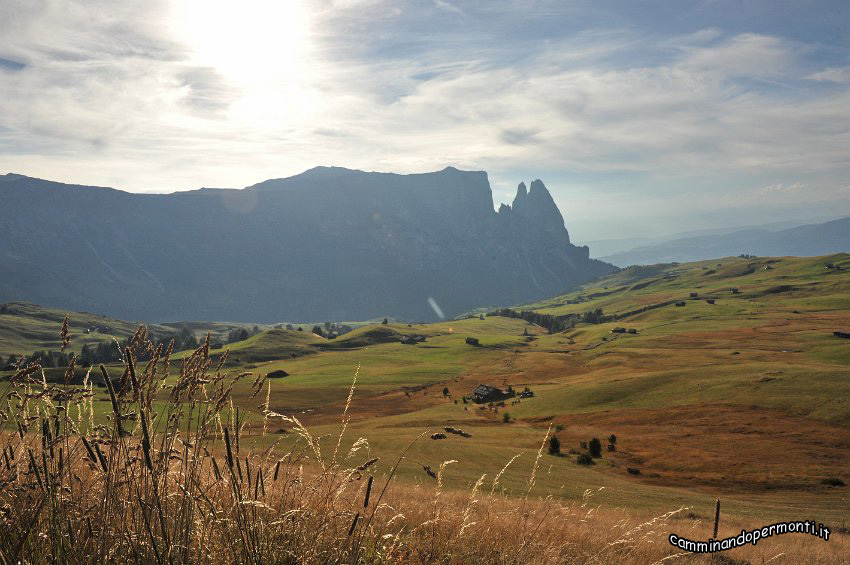 169 Alpe di Siusi - Altipiano dello Sciliar.JPG